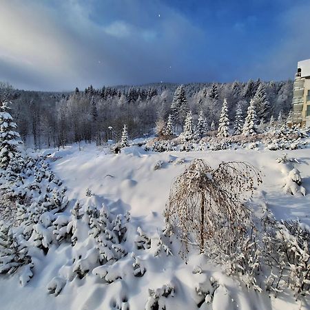 Apartamenty Biala Sowa Czarna Gora シェンナ エクステリア 写真