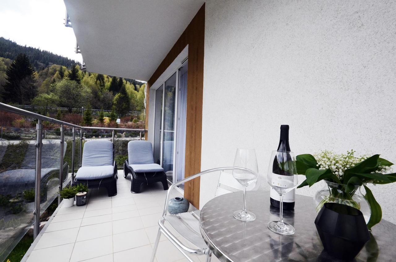 Apartamenty Biala Sowa Czarna Gora シェンナ エクステリア 写真