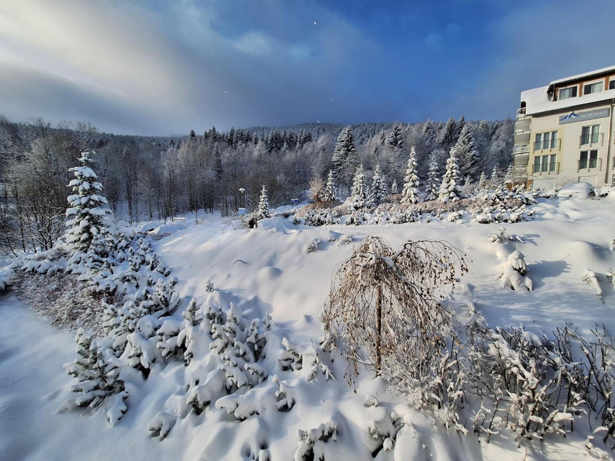 Apartamenty Biala Sowa Czarna Gora シェンナ エクステリア 写真